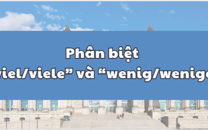 Cách phân biệt “viel/viele” và “wenig/wenige” trong tiếng Đức