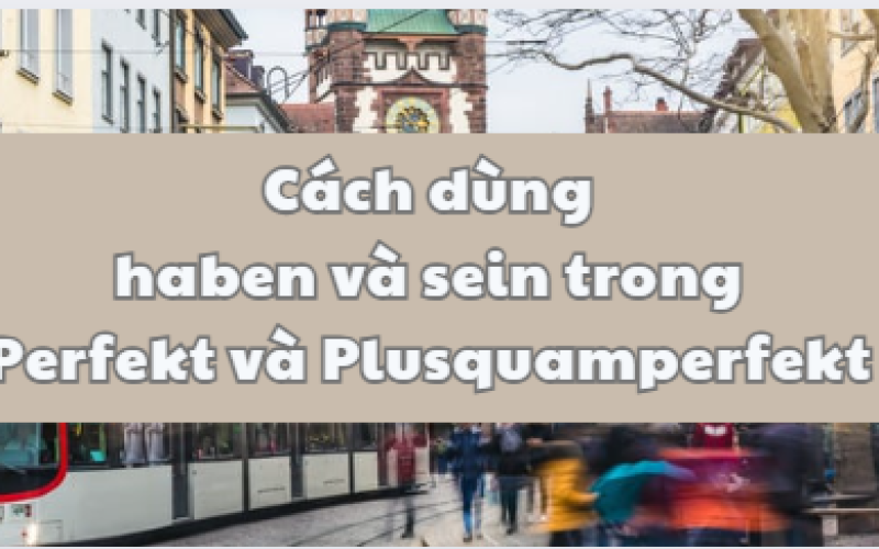 Cách dùng haben và sein trong Perfekt và Plusquamperfekt.
