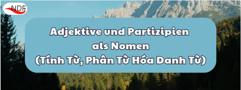 Khái Niệm Và Cách Sử Dụng Tính Từ, Phân Từ Hóa Danh Từ