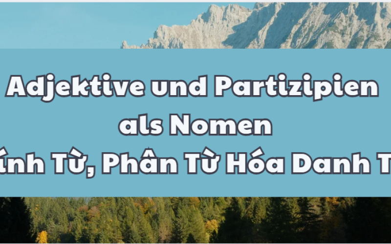 Khái Niệm Và Cách Sử Dụng Tính Từ, Phân Từ Hóa Danh Từ