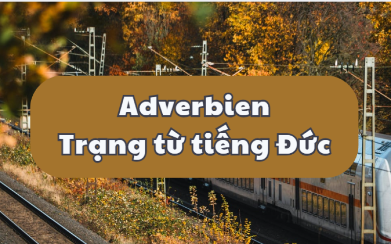 Adverbien: Trạng từ tiếng Đức - Cách dùng & Phân loại chi tiết A-Z