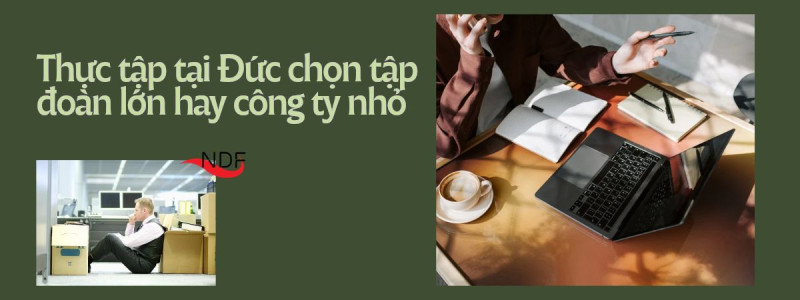 Thực tập tại Đức chọn tập đoàn lớn hay công ty nhỏ