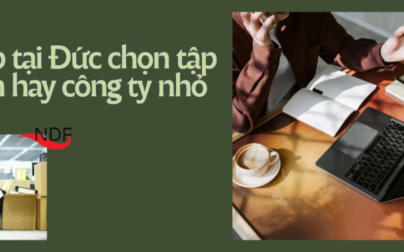 Thực tập tại Đức khi đang học đại học nên chọn tập đoàn lớn hay công ty nhỏ