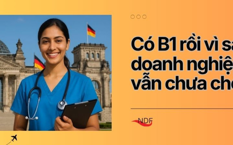 Có B1 rồi vì sao doanh nghiệp Đức vẫn chưa chọn bạn?