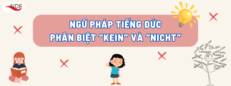 Phân Biệt "Kein" và "Nicht": Quy Tắc Ngữ Pháp Phủ Định Trong Tiếng Đức