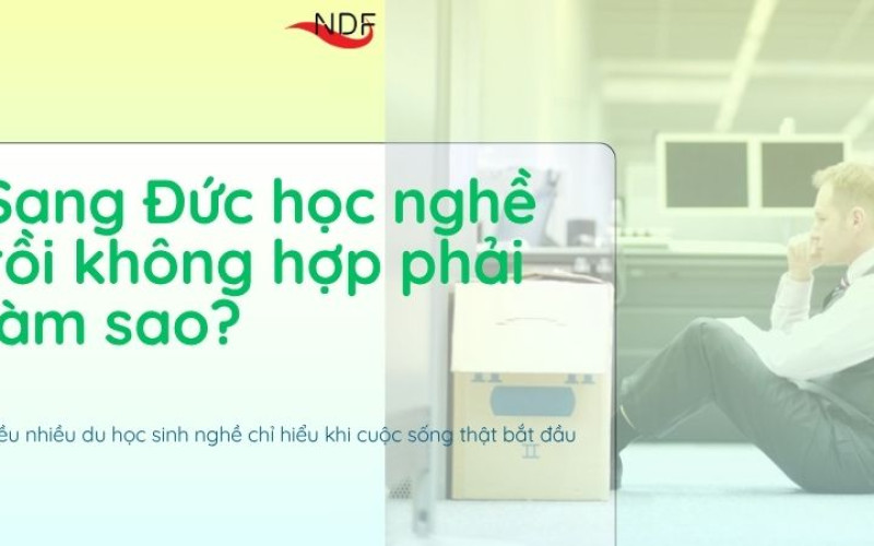 Sang Đức học nghề rồi không hợp phải làm sao?