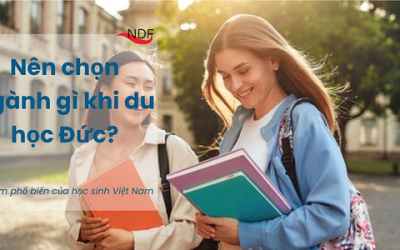 Những sai lầm khi chọn ngành du học Đức và cái giá phải trả khi nhận ra quá muộn