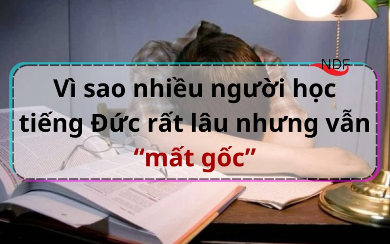 Mất gốc tiếng Đức sau nhiều năm học: đã đến lúc nên nhìn lại để học đúng cách