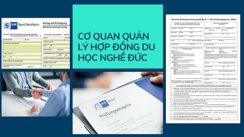 cơ quan quản lý ausbildung của bạn là đâu?